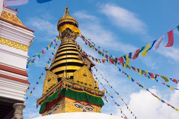 Su, Keren 아티스트의 Stupa of Swayambhunath-Kathmandu-Nepal작품입니다.
